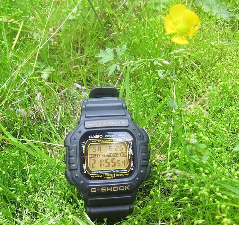 casio 1289 dw 6800 st
